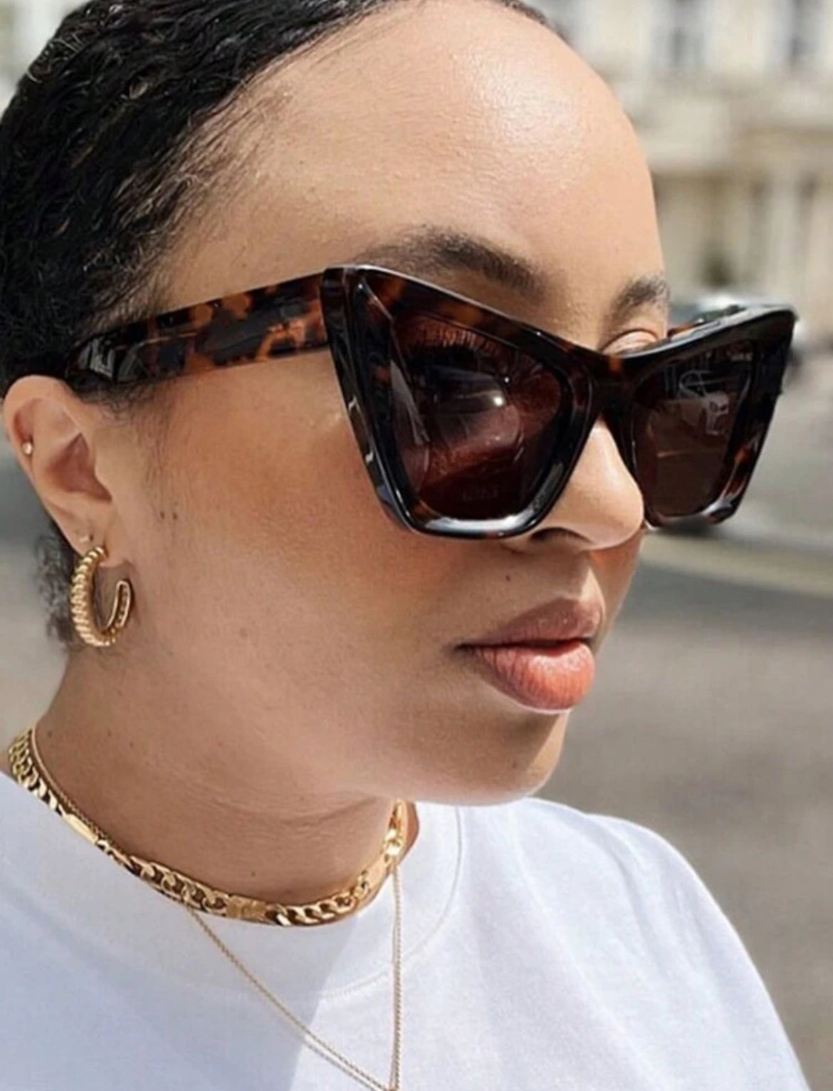 Large Frame Minimalist Fashion Cat Glasses